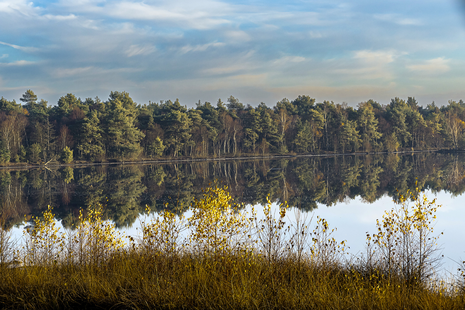 Herbststimmung im Tister Bauernmoor