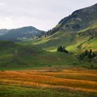 Herbststimmung  im Toggenburg / Kanton St. Gallen