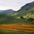 Herbststimmung  im Toggenburg / Kanton St. Gallen