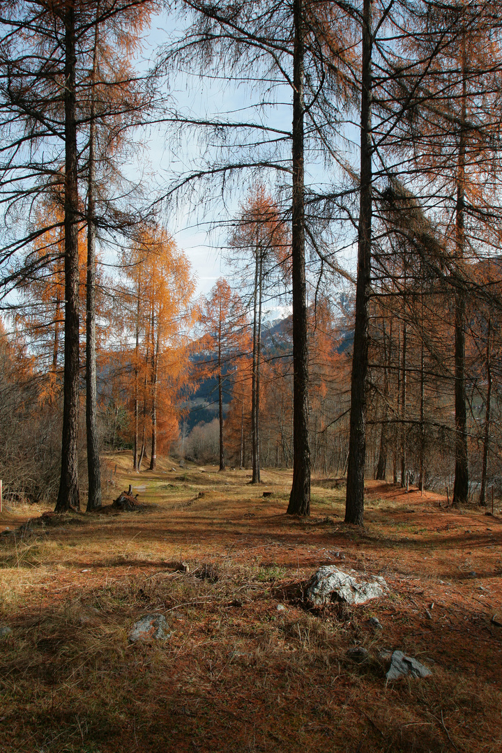 Herbststimmung im Val Müstair