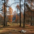 Herbststimmung im Val Müstair