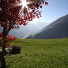 Herbststimmung im Vinschgau