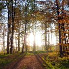 Herbststimmung im Vogelsberg