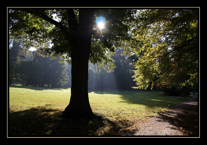 Herbststimmung im von Halfern-Park