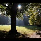 Herbststimmung im von Halfern-Park