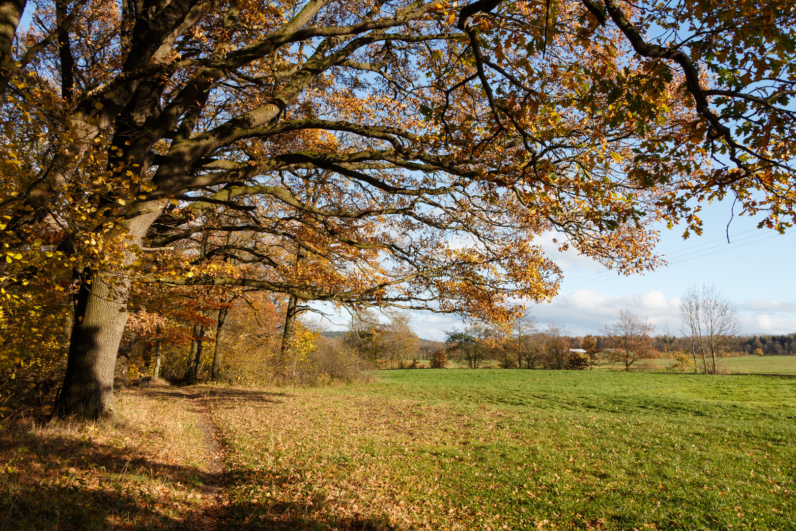 Herbststimmung im Vorland des Thüringer Waldes