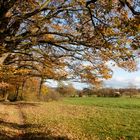 Herbststimmung im Vorland des Thüringer Waldes