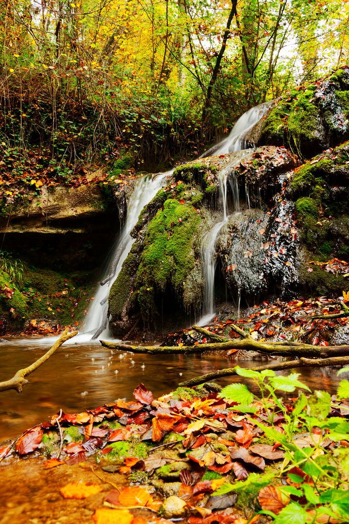 Herbststimmung im Wald