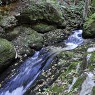 Herbststimmung im Waldviertel