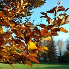 Herbststimmung im Warmbader Kurpark