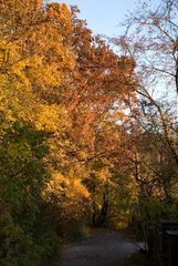 Herbststimmung im Weinviertel (AUT)