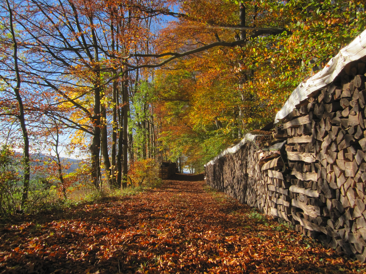 Herbststimmung im Weserbergland