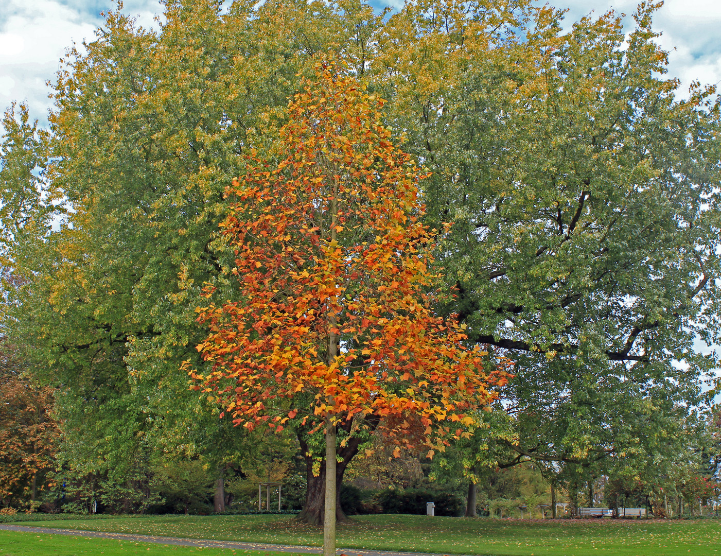 Herbststimmung im Westfalenpark Dortmund