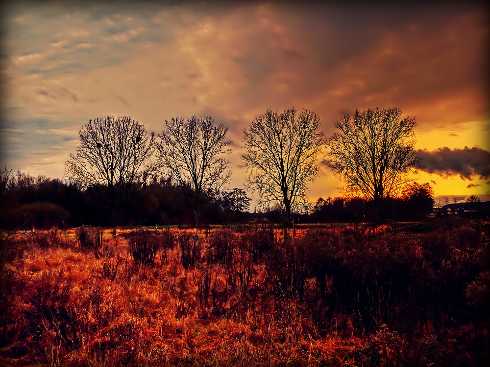 Herbststimmung im Winter