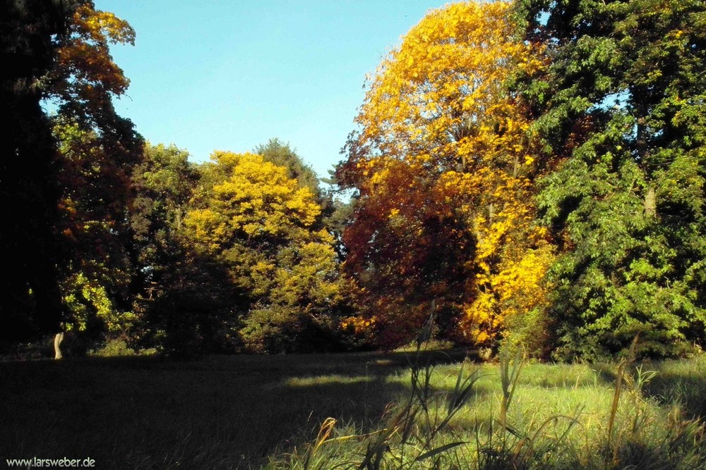 Herbststimmung im Wörlitzer Park