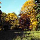 Herbststimmung im Wörlitzer Park