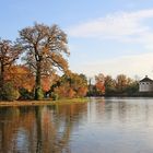 Herbststimmung im Wörlitzer Park