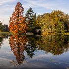 Herbststimmung im Wörlitzer Park