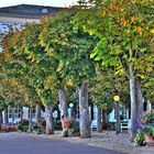 Herbststimmung in Bad Ems