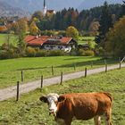 Herbststimmung in Bad Wiesse