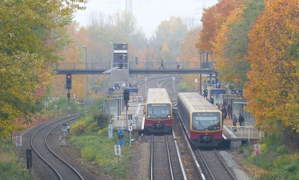 Herbststimmung in Berlin Biesdorf