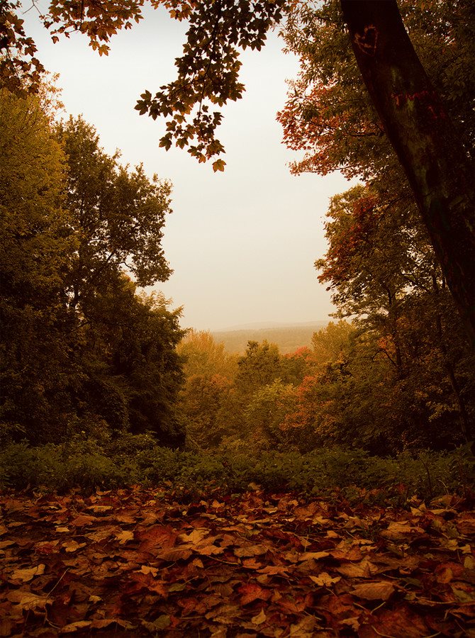 Herbststimmung in Berlin