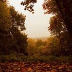 Herbststimmung in Berlin