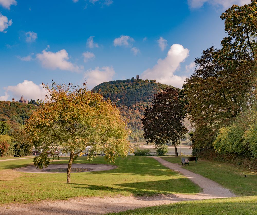 Herbststimmung in Bonn