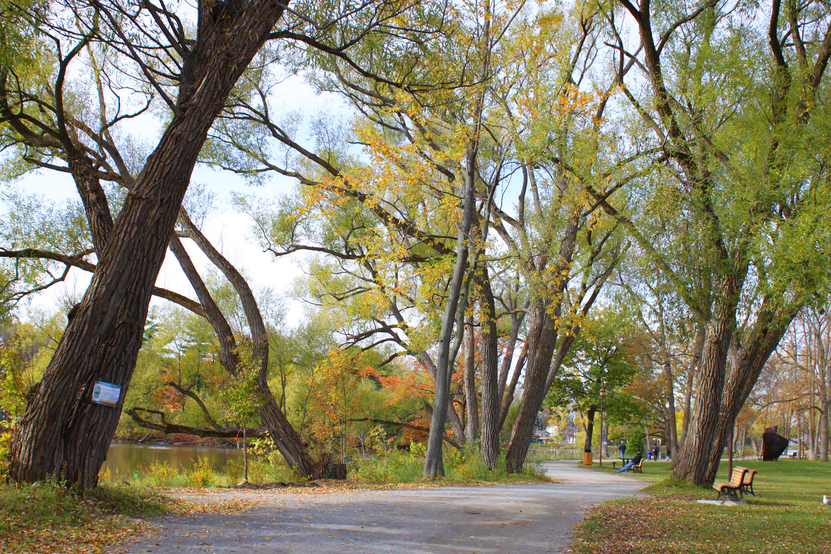 Herbststimmung in Canada