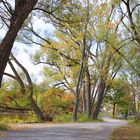 Herbststimmung in Canada