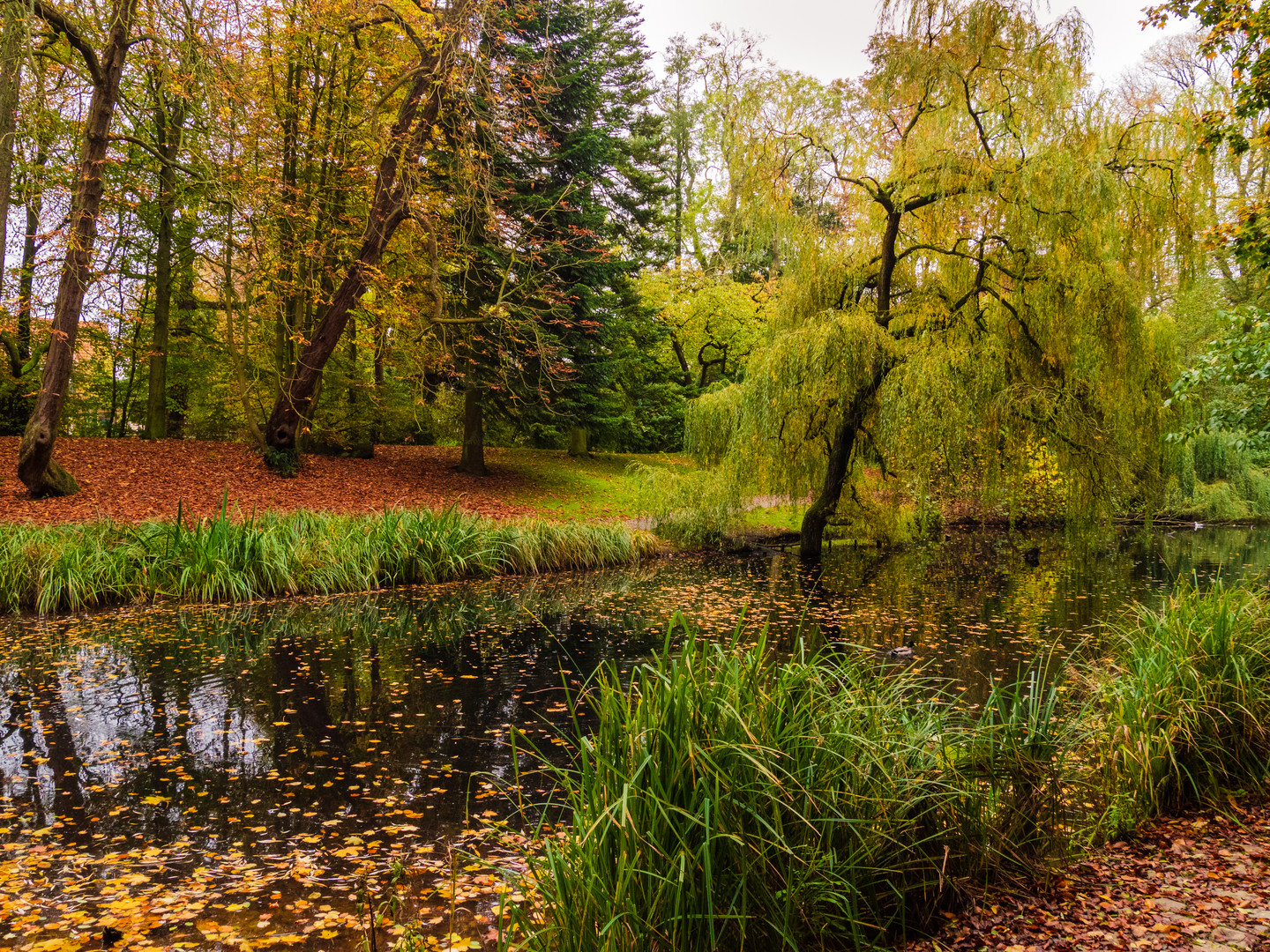 Herbststimmung in Cuxhaven