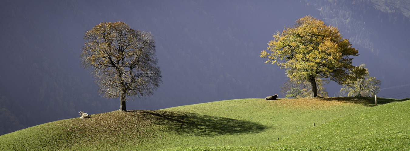 Herbststimmung in den Bergen