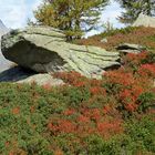 Herbststimmung in den französischen Alpen 2