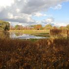 Herbststimmung in den Rieselfeldern