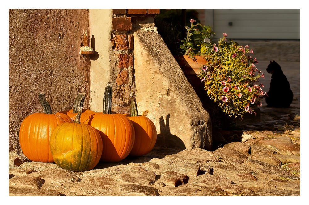 Herbststimmung in der Altmark