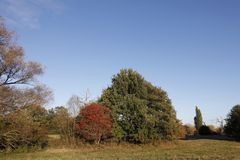 Herbststimmung in der Muldeaue - Bild 3