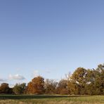 Herbststimmung in der Muldeaue - Bild 4