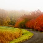 Herbststimmung in der Rhön