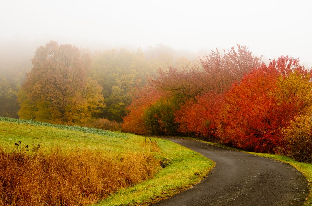 Herbststimmung in der Rhön