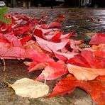 Herbststimmung in der Stadt