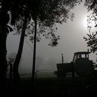 Herbststimmung in Flandern