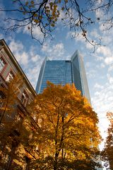 Herbststimmung in Frankfurt