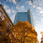 Herbststimmung in Frankfurt