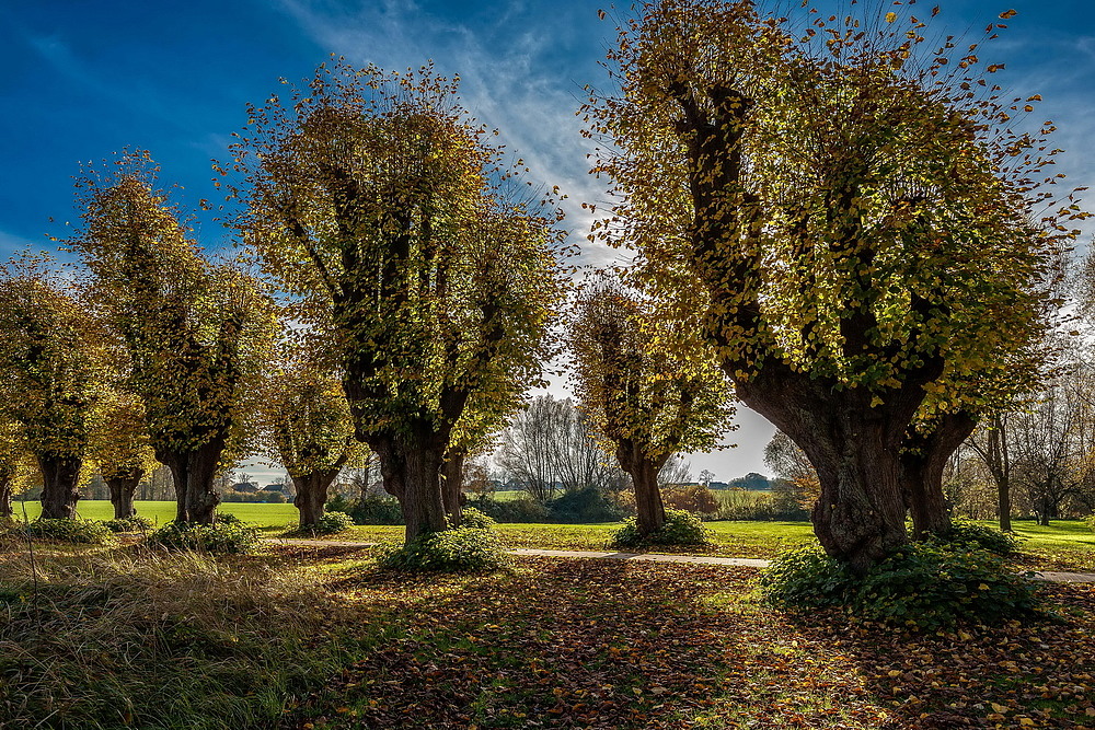 Herbststimmung in Groß Schwansee