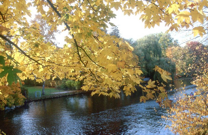 Herbststimmung in Hamburg