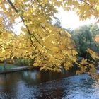 Herbststimmung in Hamburg