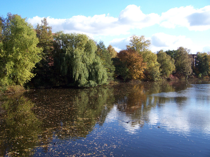 Herbststimmung in Hamburg Ohlsdorf