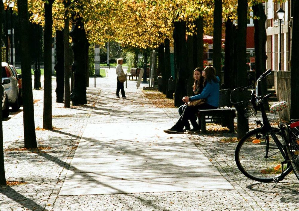 Herbststimmung in Ilmenau