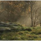 Herbststimmung in Island