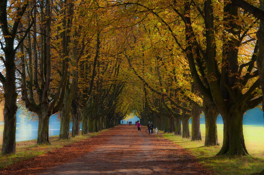 Herbststimmung in Kölle